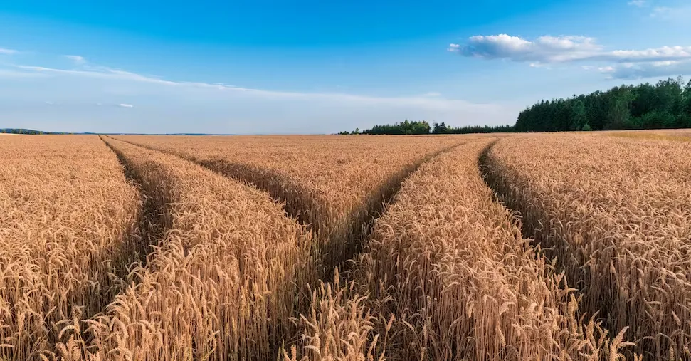 Biodiversity, over 9 out of 10 Europeans push for protection (also) for economic reasons