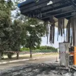 Amendolara massacre, the report: «They wanted to kill us because we had asked for a contract»