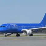 Italy, dogs up to 30 kg without a carrier on board: when the service will start