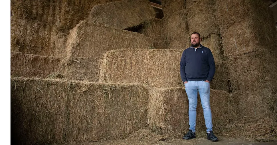 Spain, the new generation tries to save the countryside with data and robots