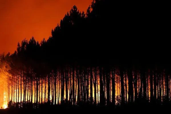 France: over 20,000 people evacuated after fire in Gironde
