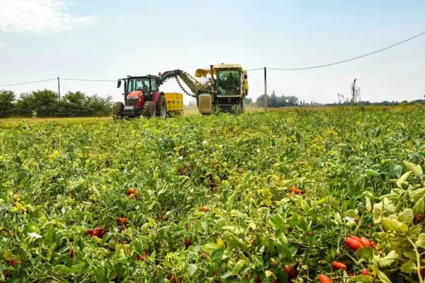 Agricoltura, dal 2027 obbligo di digitalizzare le attività svolte in un Quaderno digitale