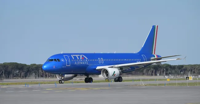 Italy, dogs up to 30 kg without a carrier on board: when the service will start