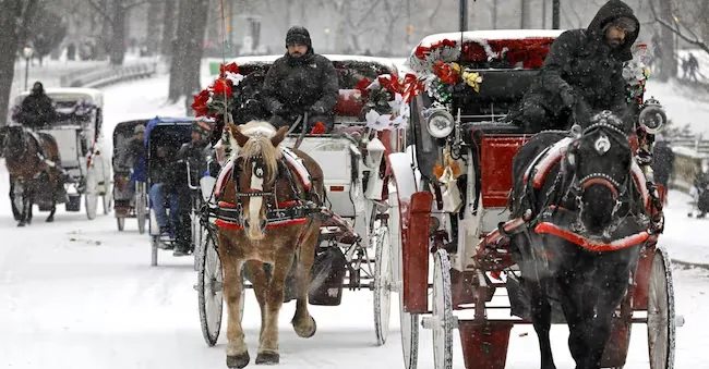 The Hansom carriages and rickshaws crowd the roadway during a light snowfall in Central Park, New York, United States, December 30, 2017. EPA/PETER FOLEY EPA