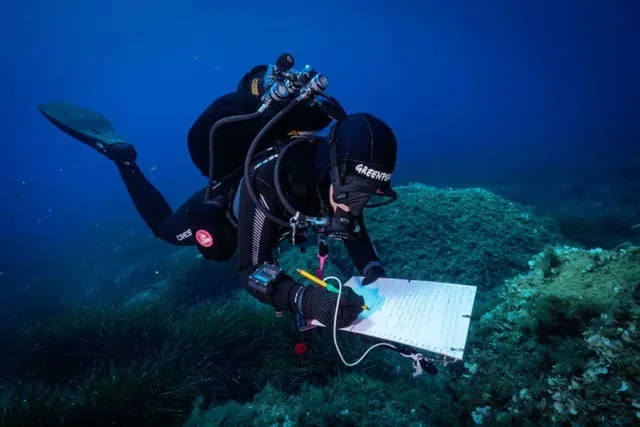 Sea temperatures rising even at 40 meters depth