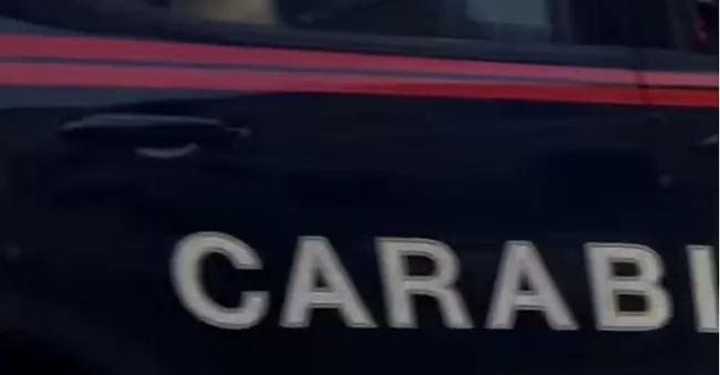 Carabinieri. ANSA/  Enzo Luongo ANSA