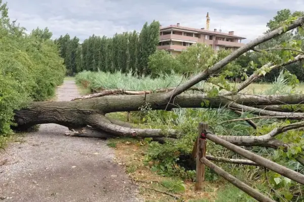 Violent downpours in the North with one victim, while the South faces record heat waves