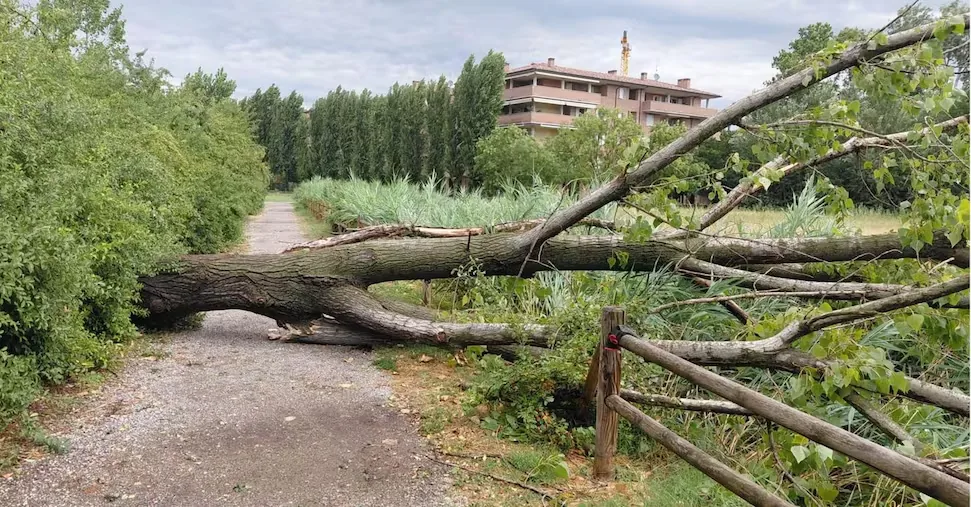Violent downpours in the North with one victim, while the South faces record heat waves