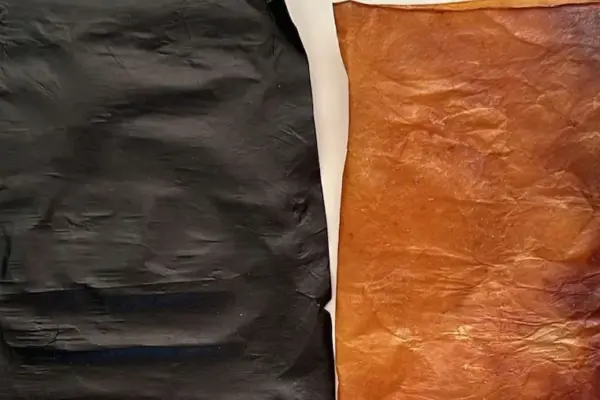 R&S, The Campania startup KforB will produce bacterial nanocellulose