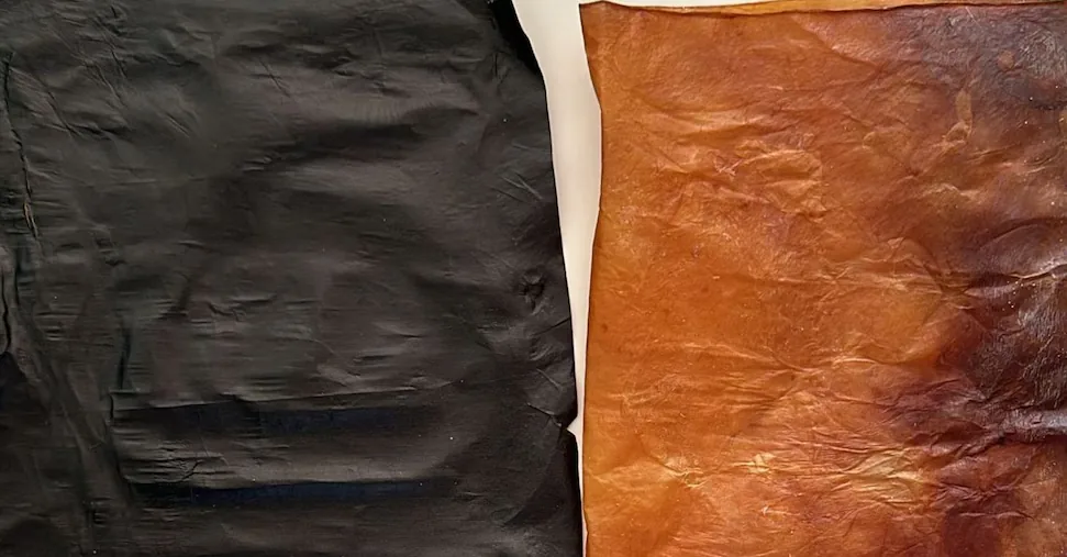 R&S, The Campania startup KforB will produce bacterial nanocellulose