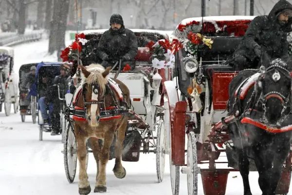 New York prepares to say goodbye to horse-drawn carriages