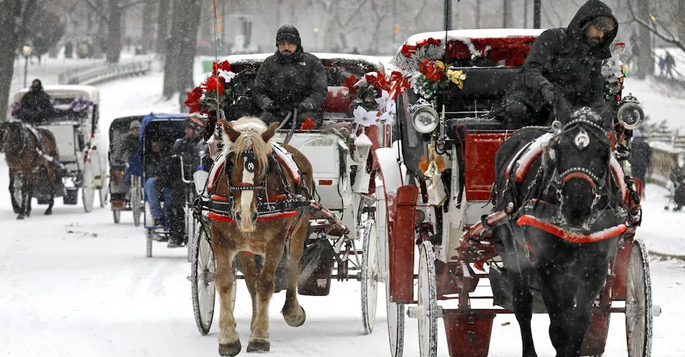 New York prepares to say goodbye to horse-drawn carriages