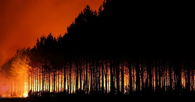 A wildfire rages in a forest area in the Gironde department, amidst worsening drought following a heatwave and water shortages in much of France, July 22, 2026. REUTERS/Stephane Mahe REUTERS