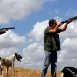 Hunting: standoff, critical opposition and supportive farmers