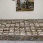 Savona, new anti-drug operation by Guardia di Finanza and Customs: 800 kilos of cocaine seized