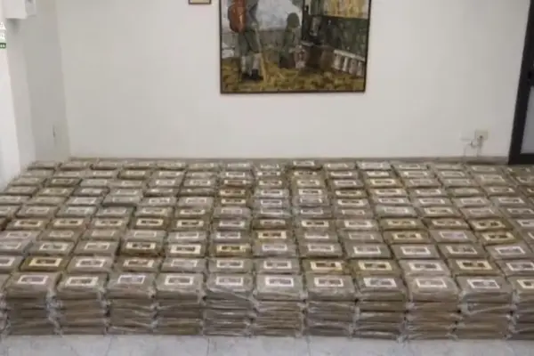 Savona, new anti-drug operation by Guardia di Finanza and Customs: 800 kilos of cocaine seized