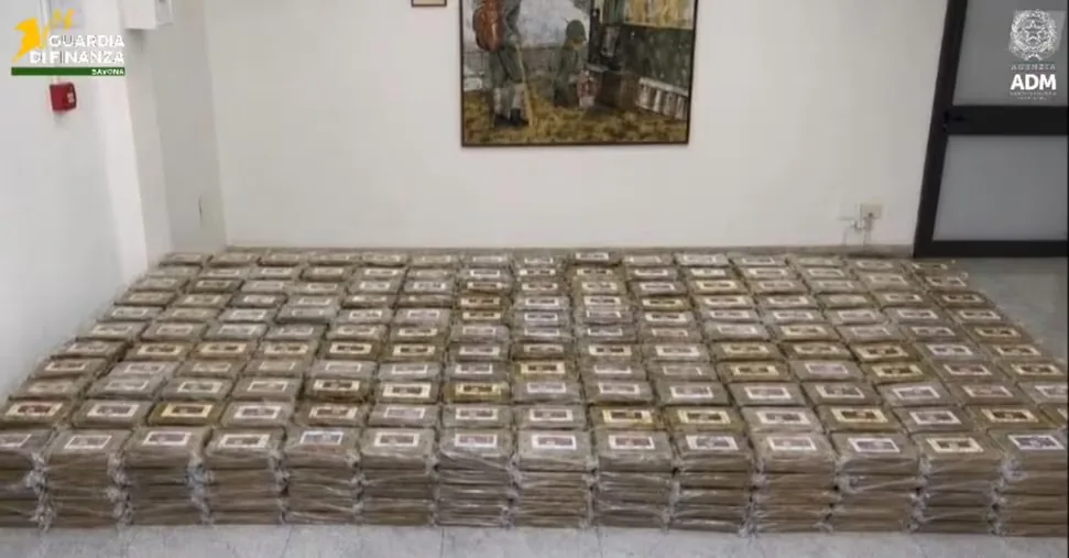 Savona, new anti-drug operation by Guardia di Finanza and Customs: 800 kilos of cocaine seized