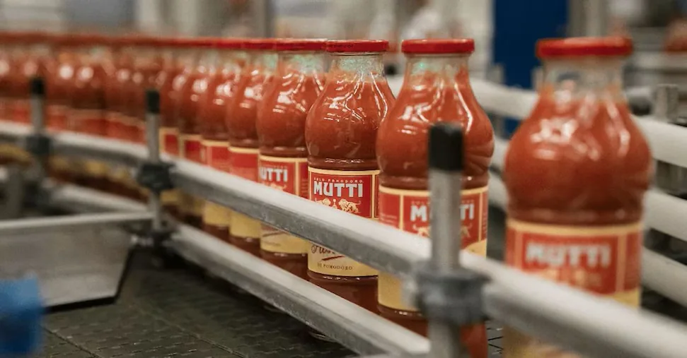 Mutti opens the tomato campaign with sales growing by 5%