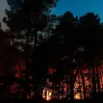 Forest of Fontainebleau on fire, 800 hectares already burned