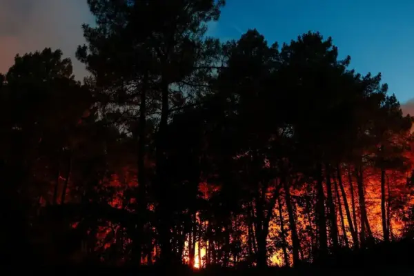 Forest of Fontainebleau on fire, 800 hectares already burned