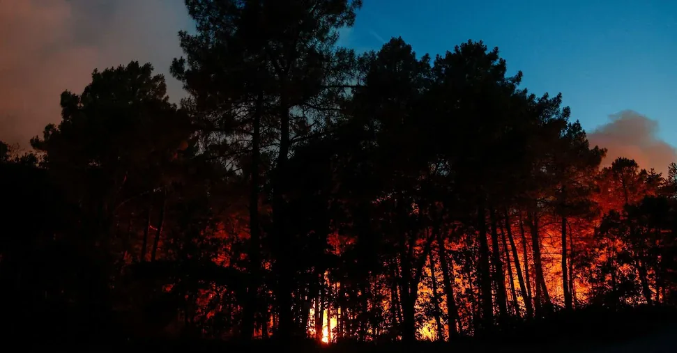 Forest of Fontainebleau on fire, 800 hectares already burned