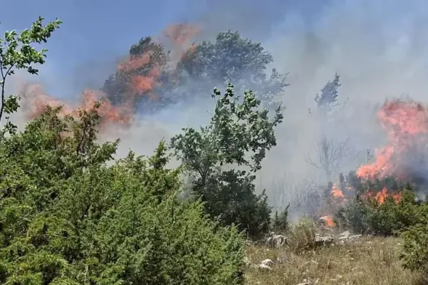 Fires, Mediterranean areas most at risk due to temperatures and drought