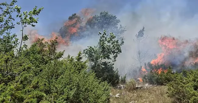 The fire affecting the Rocca di Mezzo area (L'Aquila). (Ansa)