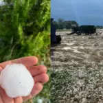 Drought and hailstorms: 70% of agricultural businesses damaged in the last three years
