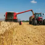 France, half of the farmers will retire by 2030: the challenge of generational renewal