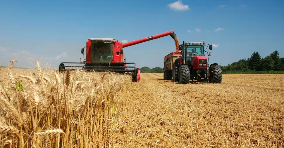France, half of the farmers will retire by 2030: the challenge of generational renewal