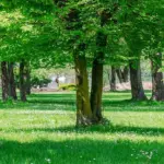 Climate shelters to combat the high temperatures caused by climate change