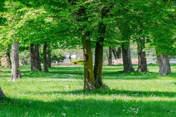 Climate shelters to combat the high temperatures caused by climate change