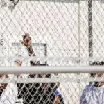 Sulla giustizia civile il peso delle domande di asilo