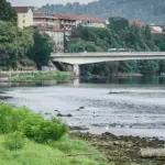 Bici giù dai Murazzi, appello bis per Cherici: valutare la dipendenza dal branco