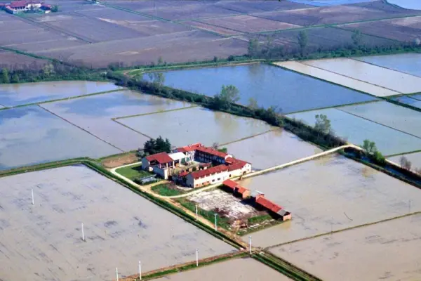 Pavia, maxi-fraud in organic rice trade: assets seized worth over 10 million