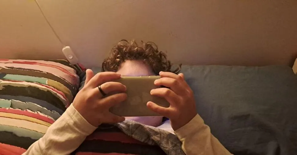 The EU approves the Kids Act, "ban on social media for under 13s"