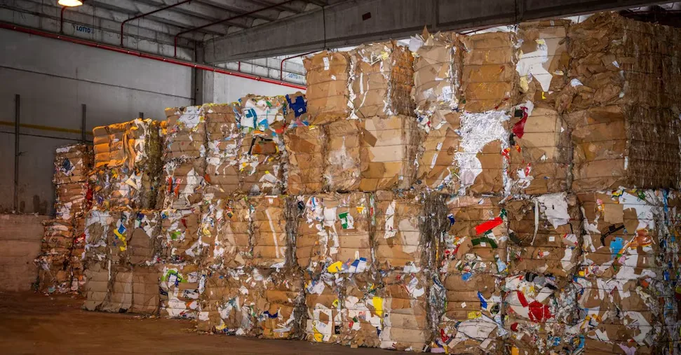 Paper, 20% of companies consider closure due to high energy costs