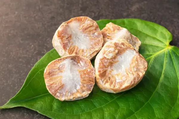 Millennial use of betel nut: traces of psychoactive substances on human teeth from 6,300-25,000 ...