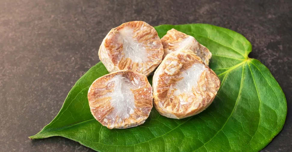 Millennial use of betel nut: traces of psychoactive substances on human teeth from 6,300-25,000 ...